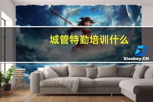 城管特勤培训什么