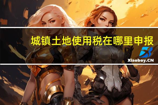 城镇土地使用税在哪里申报