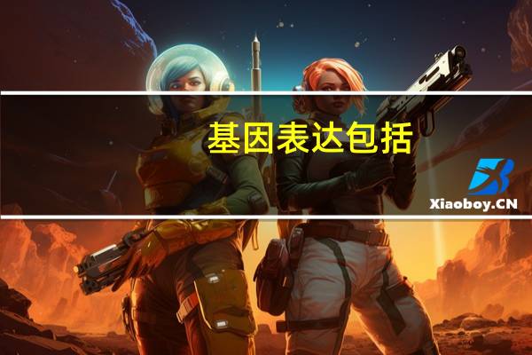 基因表达包括
