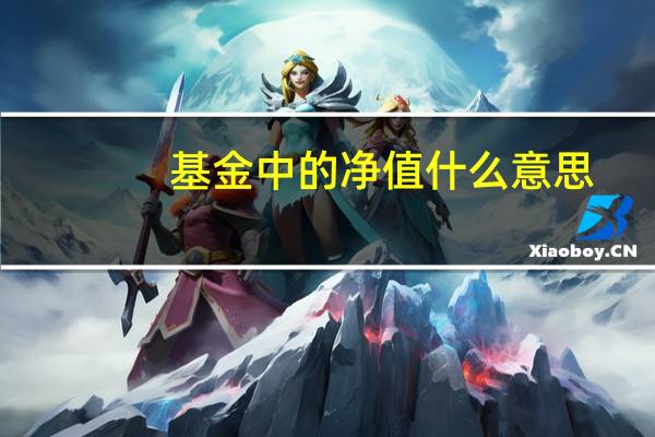 基金中的净值什么意思
