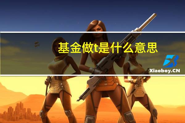 基金做t是什么意思