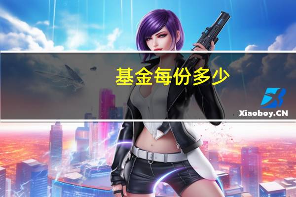 基金每份多少