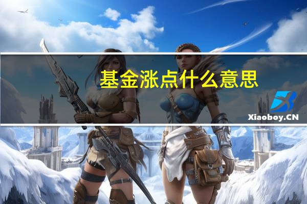 基金涨点什么意思