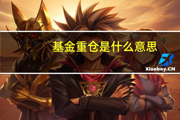 基金重仓是什么意思