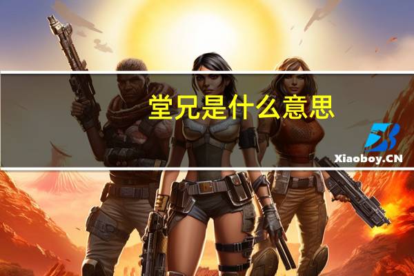 堂兄是什么意思