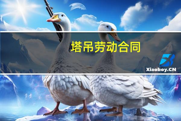 塔吊劳动合同