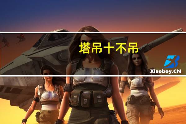 塔吊十不吊