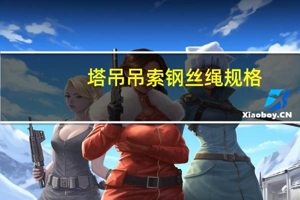 塔吊吊索钢丝绳规格