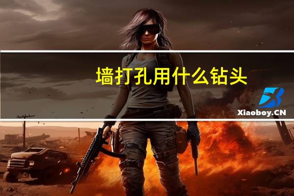 墙打孔用什么钻头