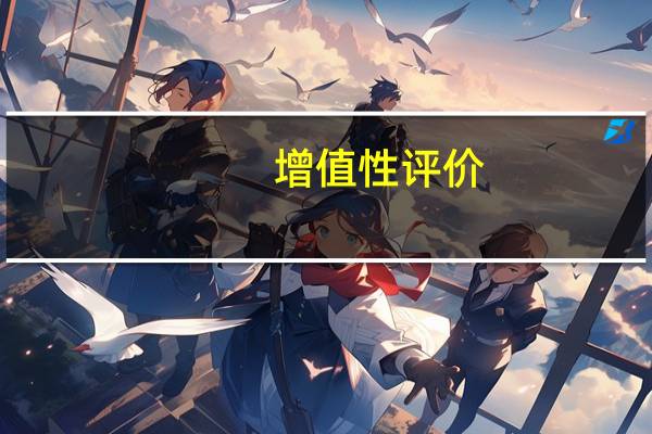 增值性评价