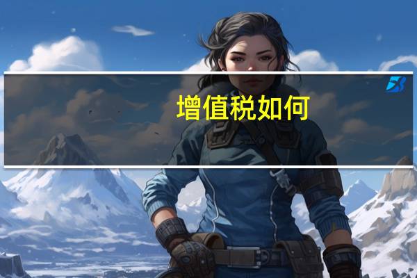 增值税如何