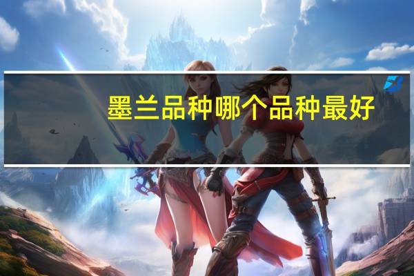 墨兰品种哪个品种最好