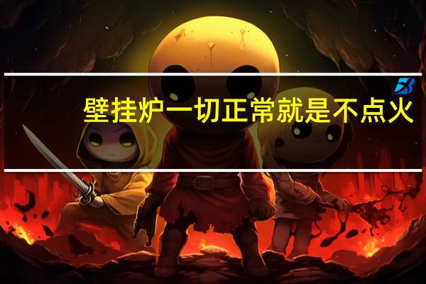 壁挂炉一切正常就是不点火
