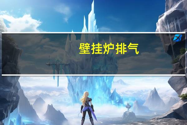 壁挂炉排气