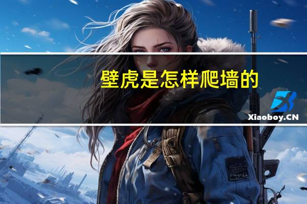 壁虎是怎样爬墙的