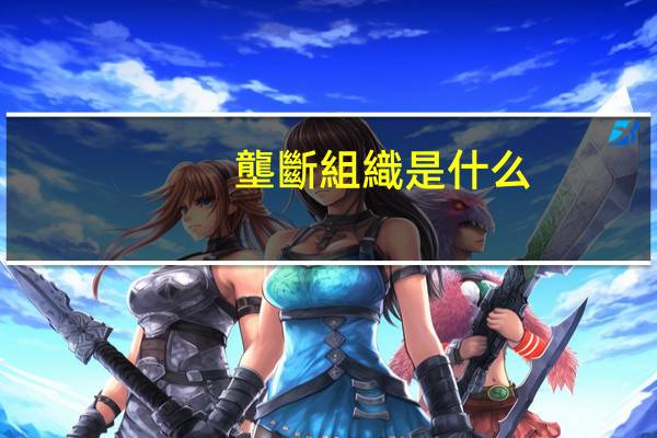 壟斷組織是什么