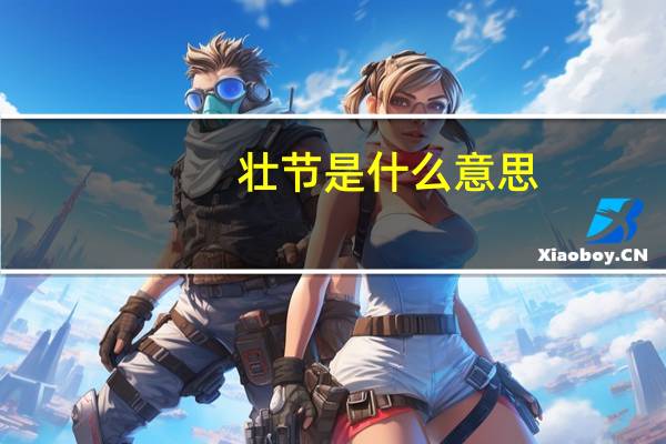 壮节是什么意思