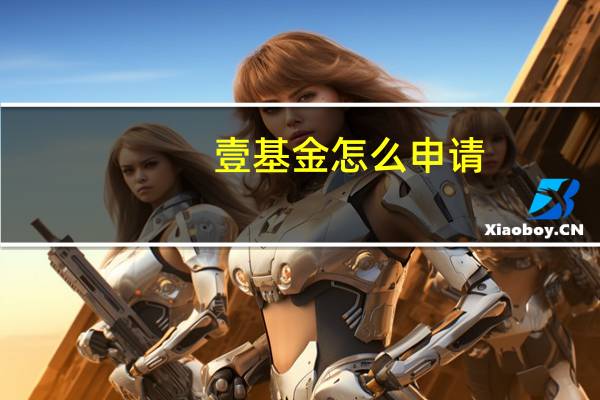 壹基金怎么申请