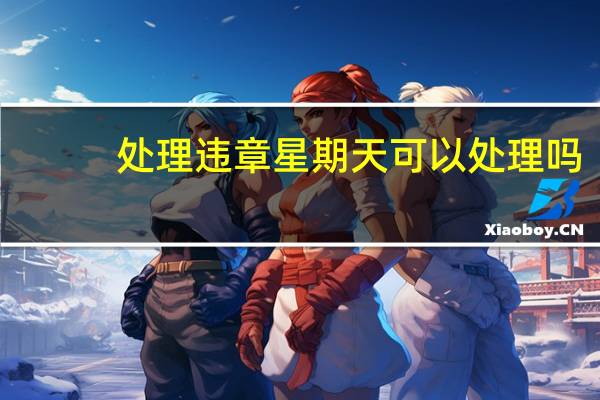 处理违章星期天可以处理吗