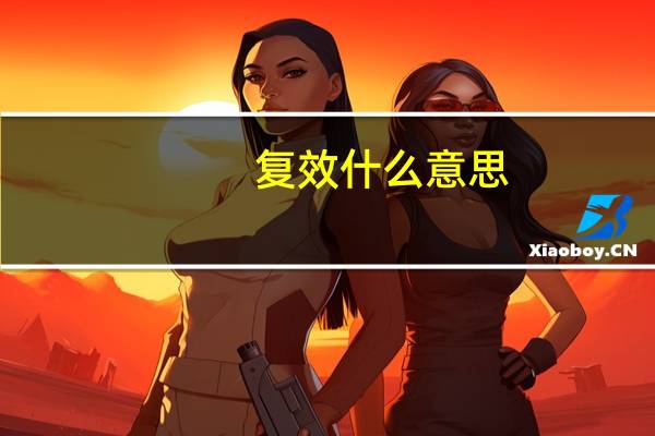 复效什么意思