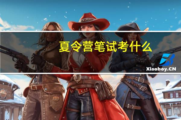 夏令营笔试考什么