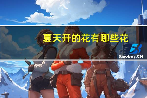 夏天开的花有哪些花