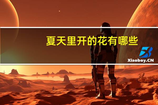 夏天里开的花有哪些
