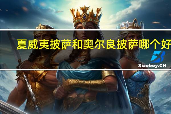 夏威夷披萨和奥尔良披萨哪个好吃