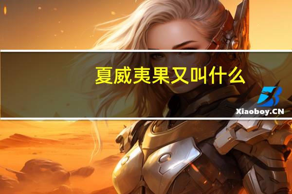 夏威夷果又叫什么