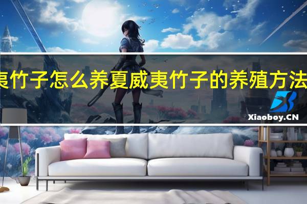 夏威夷竹子怎么养夏威夷竹子的养殖方法和注意事项