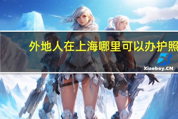 外地人在上海哪里可以办护照