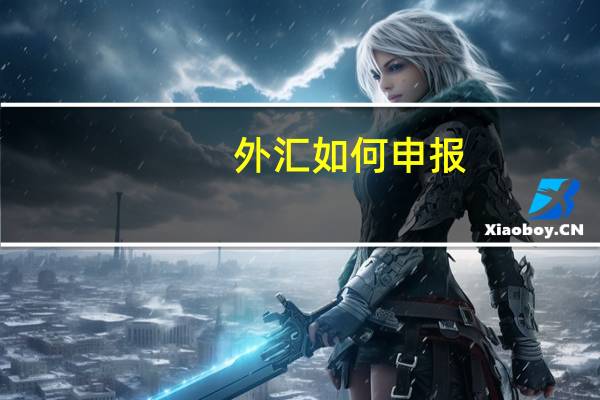 外汇如何申报