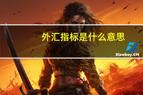外汇指标是什么意思
