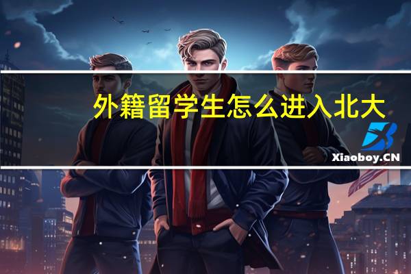 外籍留学生怎么进入北大