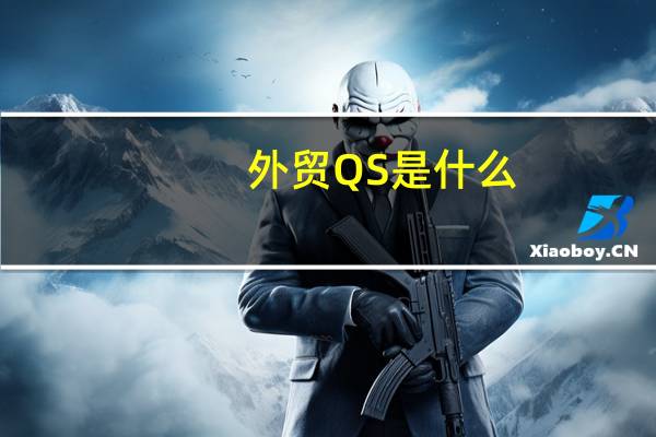 外贸 QS是什么