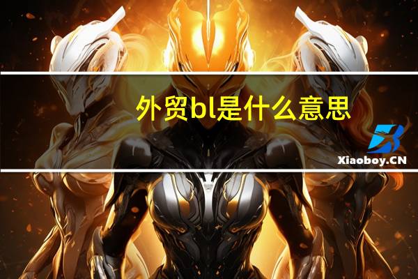 外贸bl是什么意思