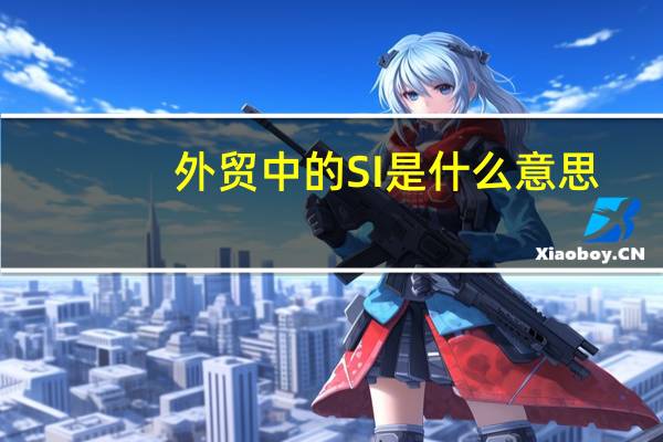 外贸中的SI是什么意思