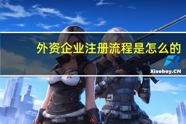 外资企业注册流程是怎么的