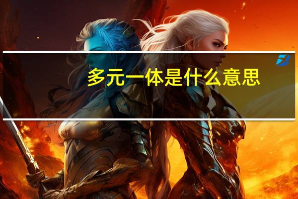 多元一体是什么意思