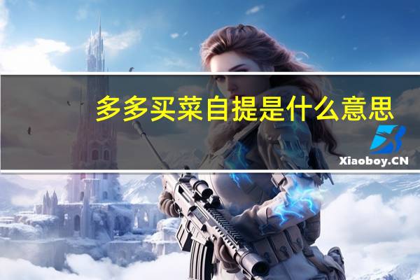 多多买菜自提是什么意思