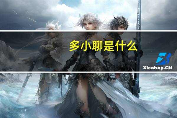 多小聊是什么