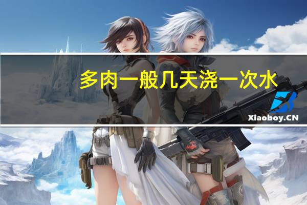 多肉一般几天浇一次水