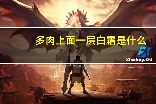 多肉上面一层白霜是什么