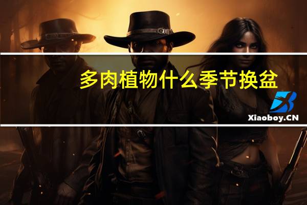 多肉植物什么季节换盆
