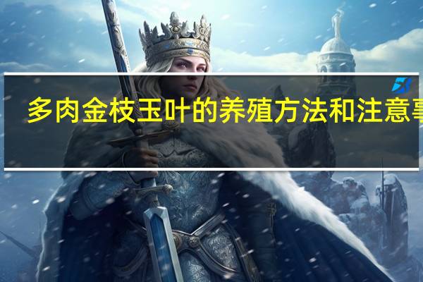 多肉金枝玉叶的养殖方法和注意事项