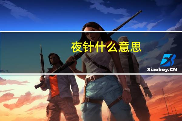 夜针什么意思