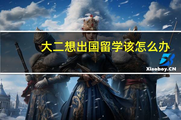 大二想出国留学该怎么办