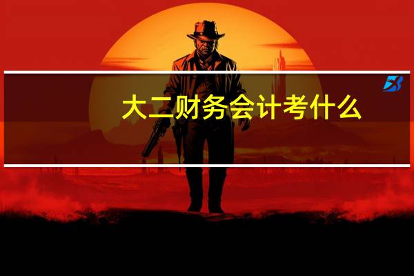 大二财务会计考什么