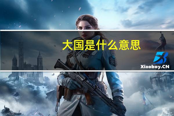 大国是什么意思