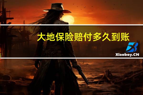 大地保险赔付多久到账